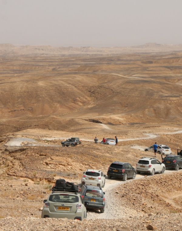 תמונה של הרפתקת שטח בין נופי הערבה - למטייל בישראל (טיולי)
